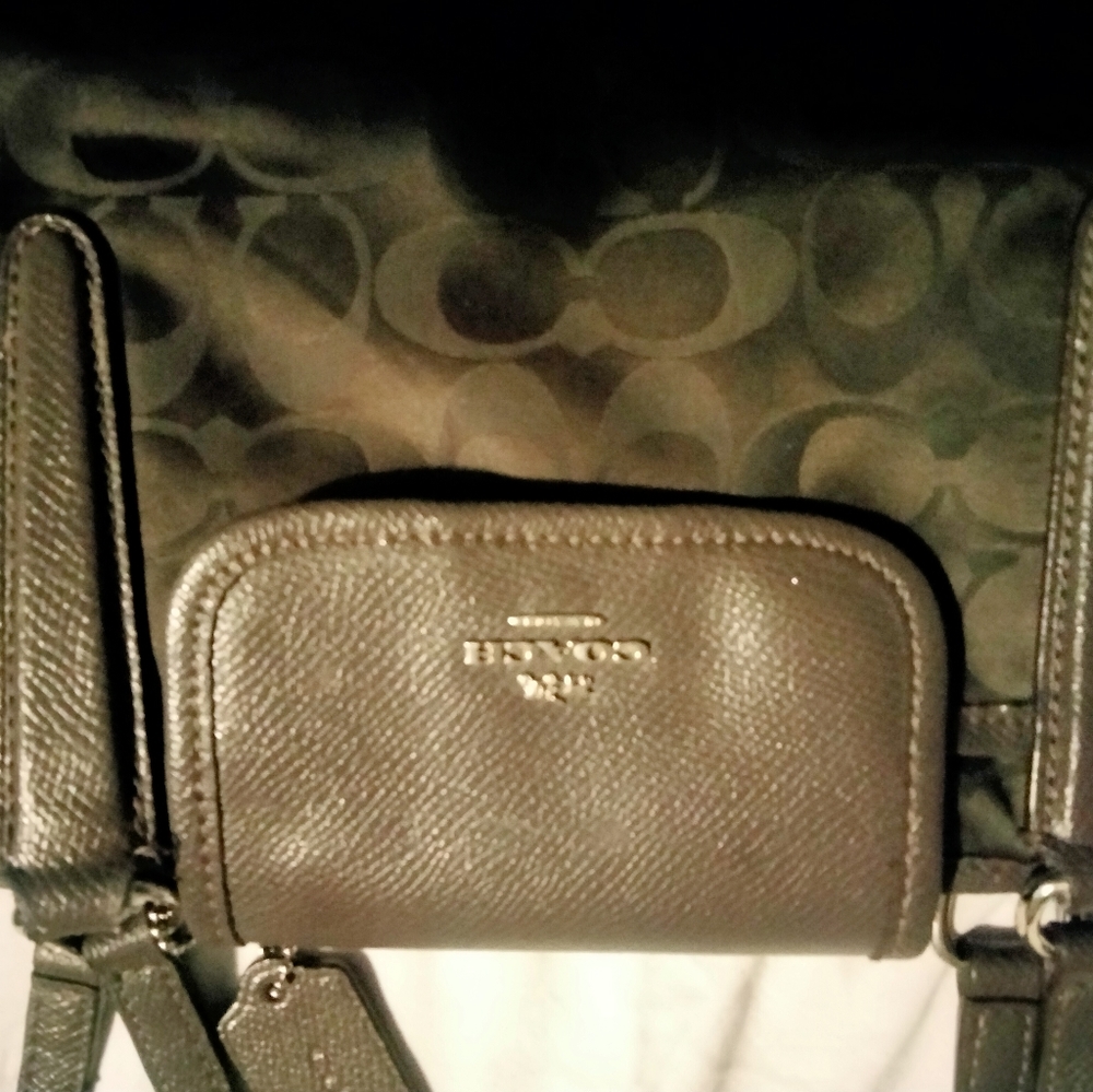 Purses - Picture 8 of 9